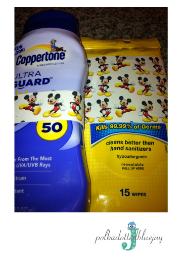 Disney Survival Bag with Must Haves for a day at Disneyland