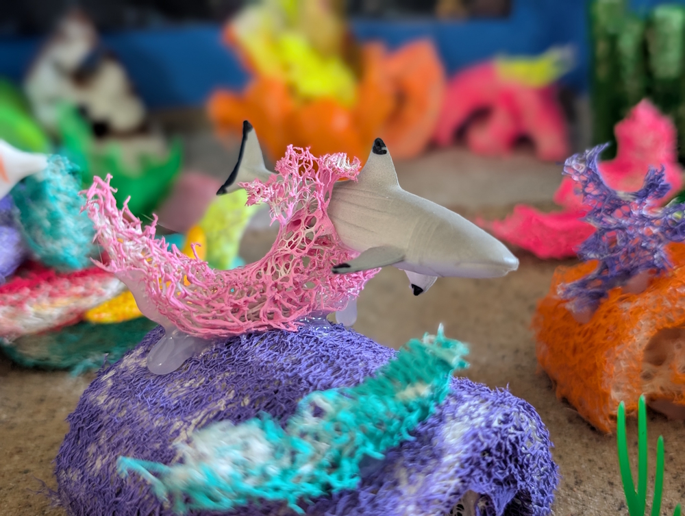 black tip reef shark in a coral reef diorama